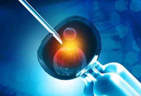 试管婴儿培育几周?解析试管全程时间与辅助生殖关键节点