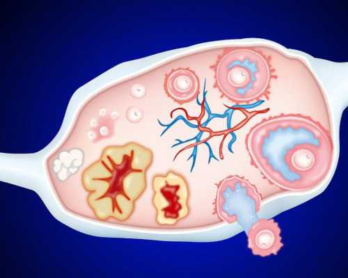 2026年女性生育健康指南：吃海带对预防乳腺癌及调理不孕不育的积极影响