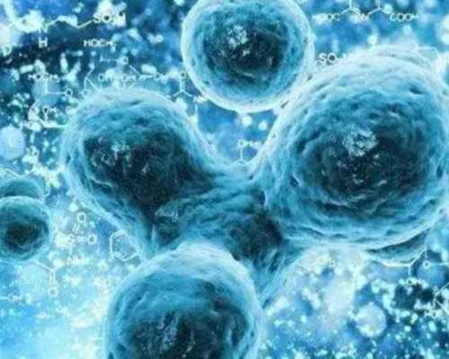 女性卵巢储备功能低下做试管婴儿成功率高吗？深度解析辅助生殖策略与供卵方案