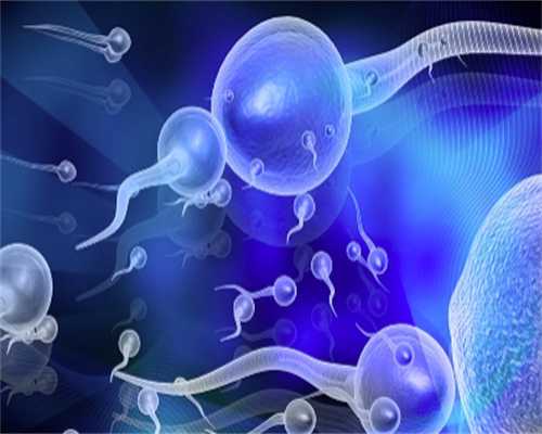 2026年详解卵巢多囊与卵巢囊肿的区别:不孕不育家庭的助孕指南